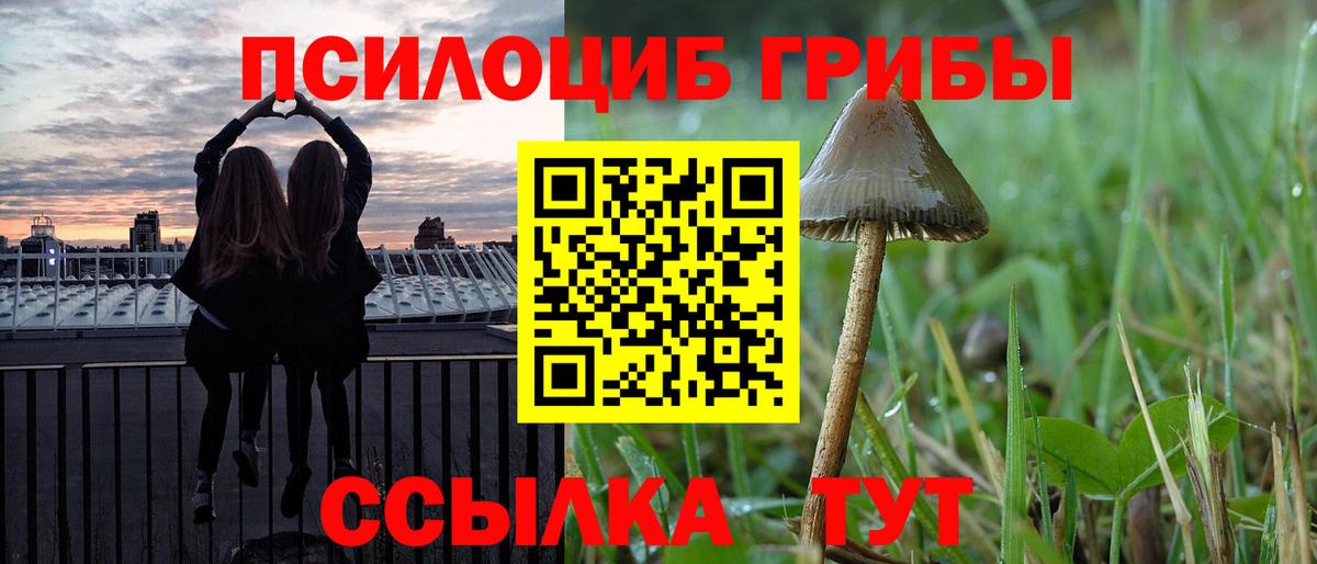 Псилоцибиновые грибы мухоморы Белая Калитва