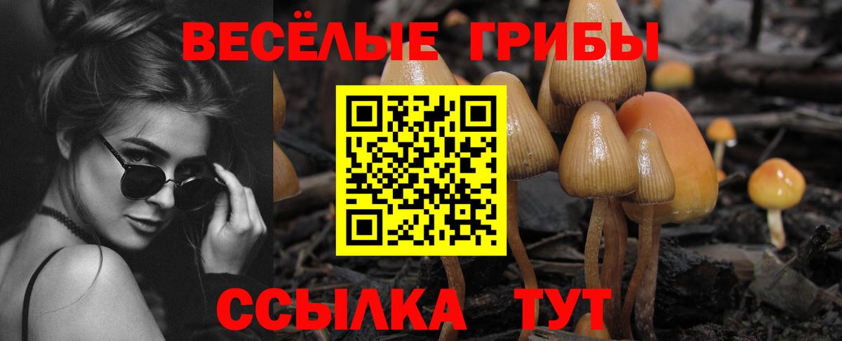 Белая Калитва  Галлюциногенные грибы мухоморы  Псилоцибиновые грибы ЛСД  Вход с VPN 